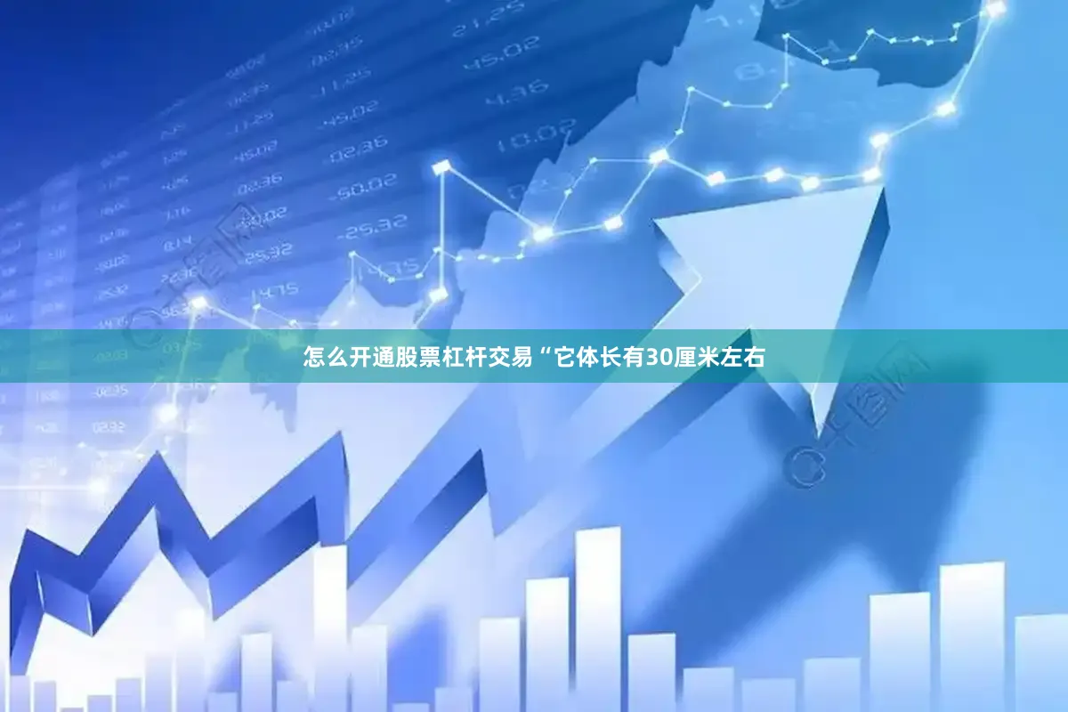 怎么开通股票杠杆交易“它体长有30厘米左右