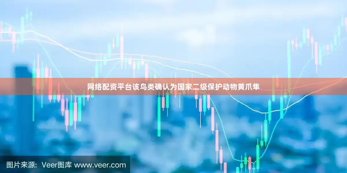 网络配资平台该鸟类确认为国家二级保护动物黄爪隼